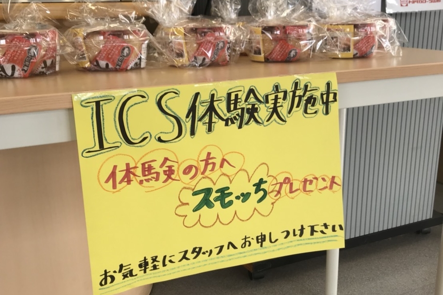 ICS-31②
