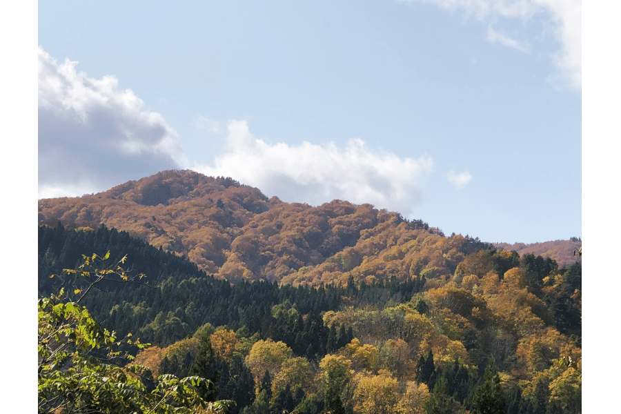 トヨタカローラ山形「フォト日記」始めました。