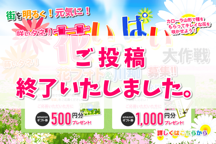 トヨタカローラ山形「蒔いタネ!咲いタネ!花いっぱい大作戦」開催。