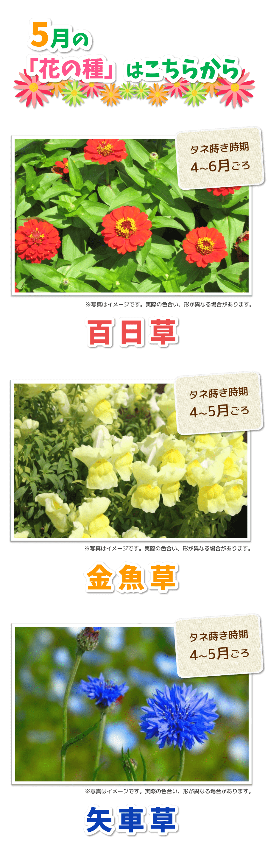 花の種 応募フォーム トヨタカローラ山形株式会社