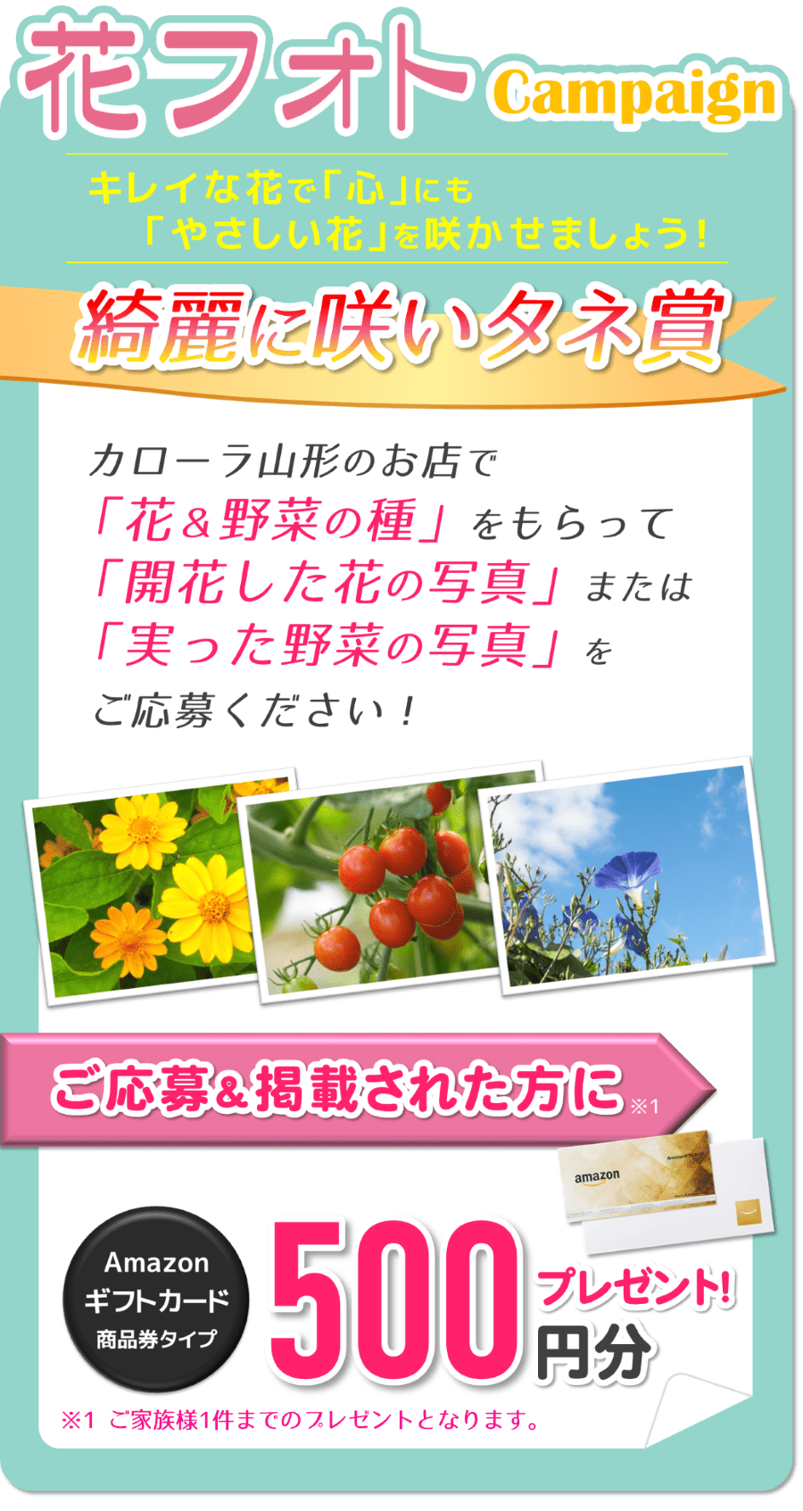 2024「蒔いタネ！咲いタネ！花いっぱい大作戦」 | トヨタカローラ山形