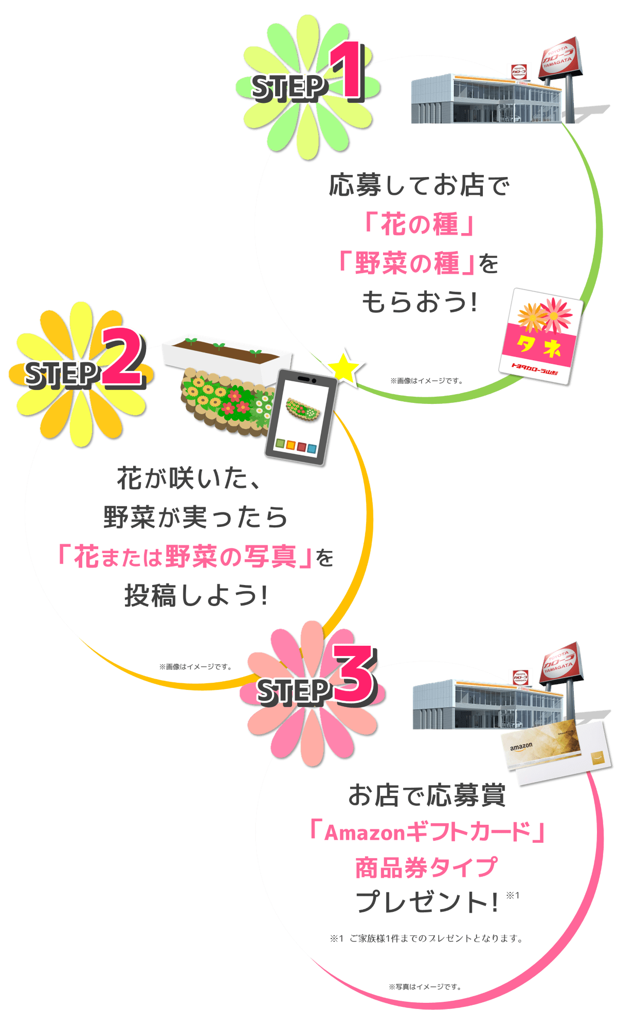 2024「蒔いタネ！咲いタネ！花いっぱい大作戦」 | トヨタカローラ山形