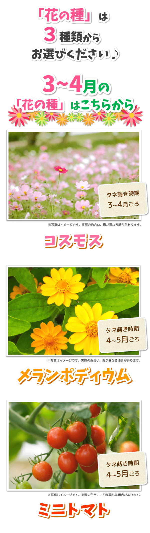 2025「蒔いタネ！咲いタネ！花いっぱい大作戦」 | トヨタカローラ山形