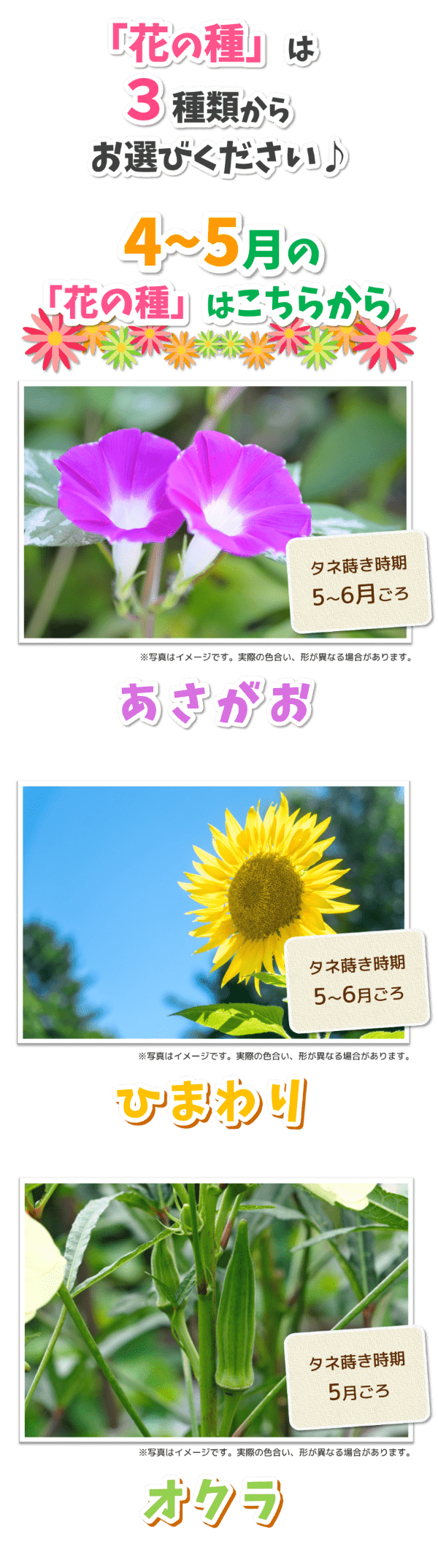 2025「蒔いタネ！咲いタネ！花いっぱい大作戦」 | トヨタカローラ山形