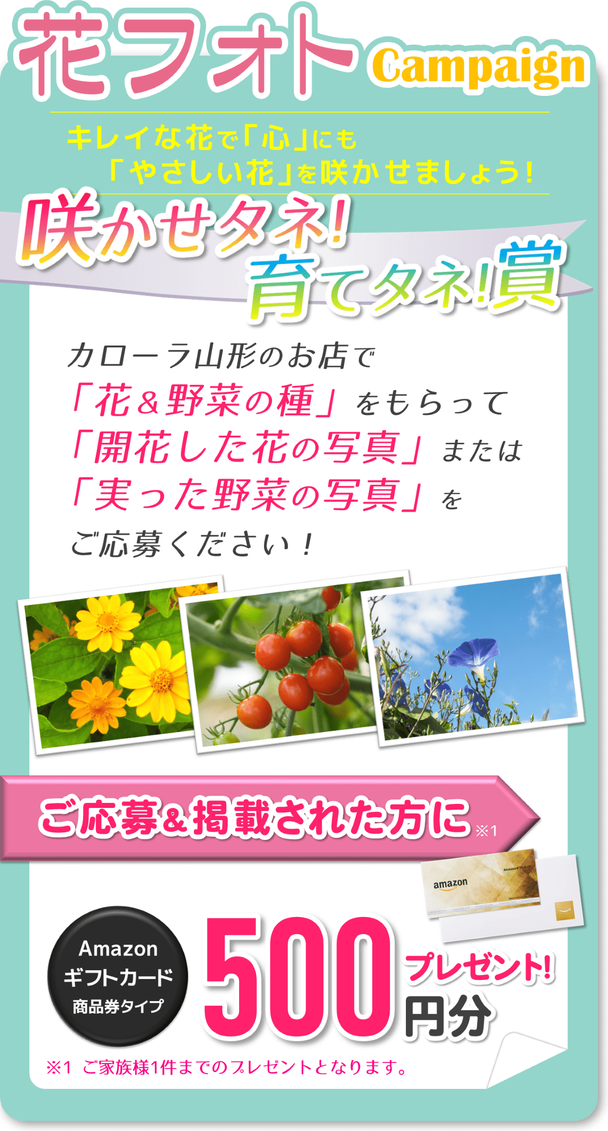 2025「蒔いタネ！咲いタネ！花いっぱい大作戦」 | トヨタカローラ山形