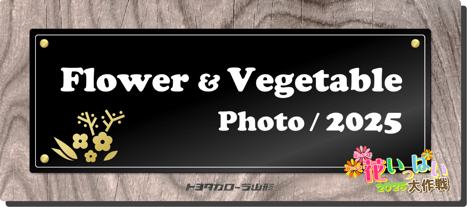 花いっぱい大作戦2025」応募一覧 | トヨタカローラ山形株式会社