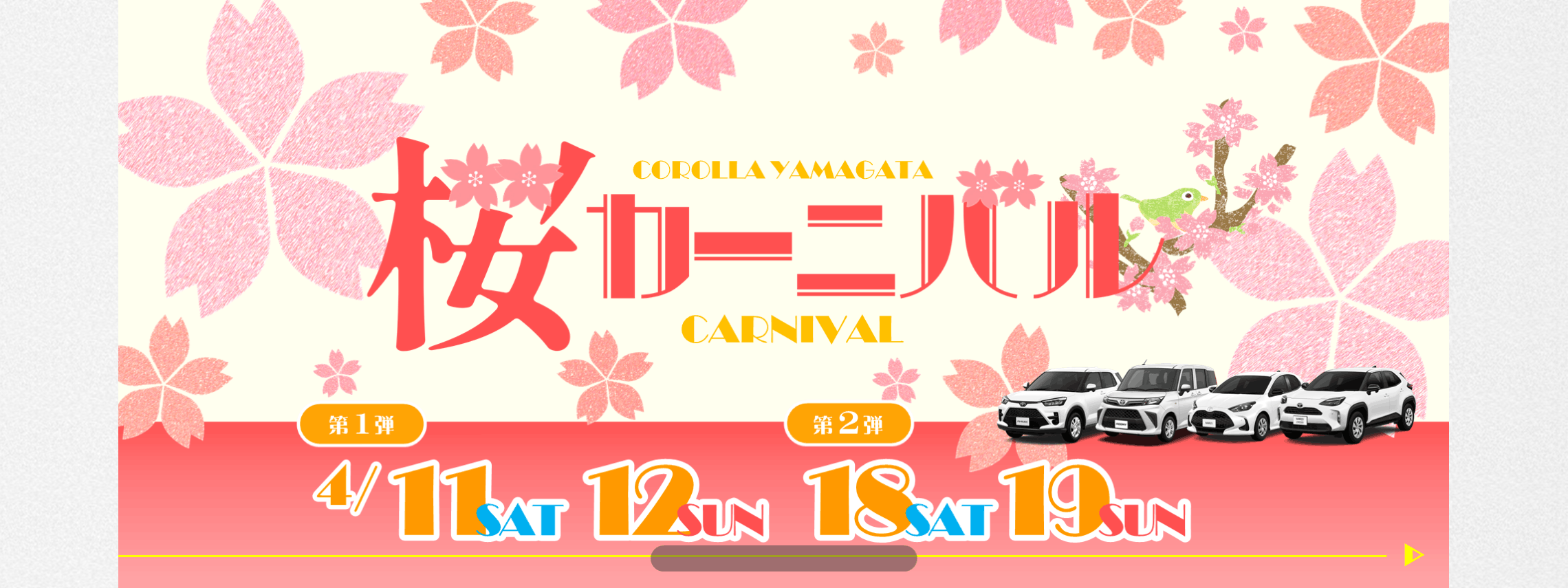 トヨタカローラ山形の桜カーニバル全店開催。