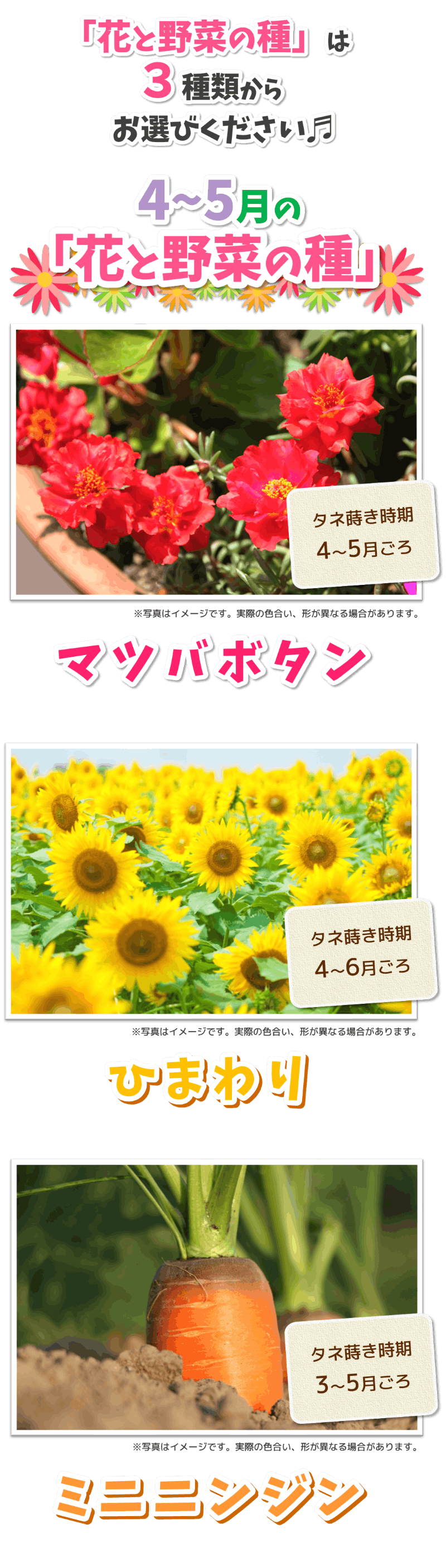 2026「蒔いタネ！咲いタネ！花いっぱい大作戦」 | トヨタカローラ山形